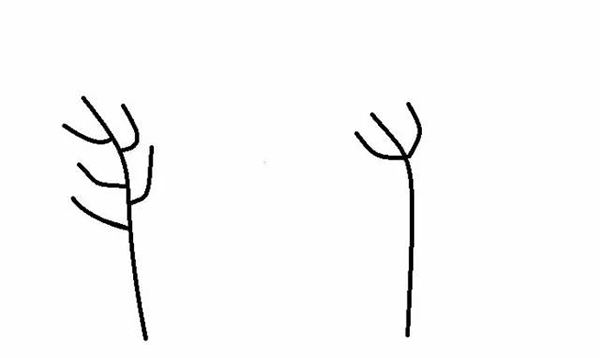 ͷֲ,ͷֲô